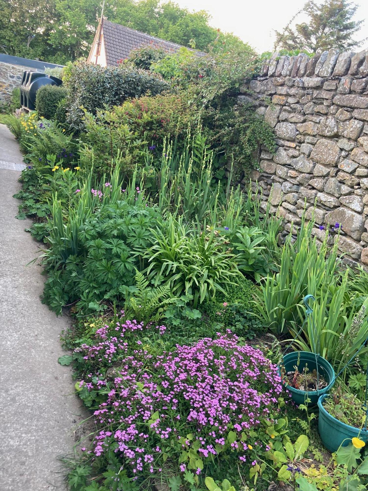 Cosy Cottage - Whitchurch, Solva Exterior photo